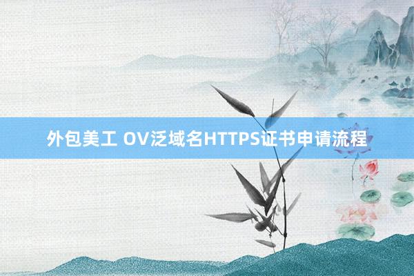 外包美工 OV泛域名HTTPS证书申请流程